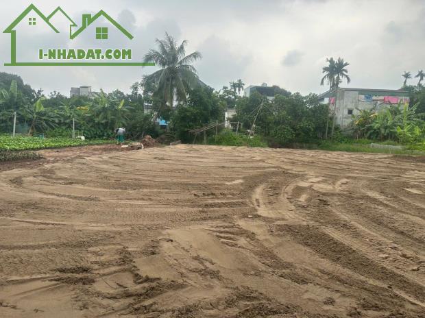 Bán đất Chương Dương – Thường Tín – Hà Nội, ô tô vào đất, giá chỉ 28 triệu/m² - 2
