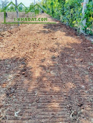 BÁN GẤP 3 LÔ ĐẤT EADRONG – CƠ HỘI ĐẦU TƯ SIÊU LỢI NHUẬN! - 3