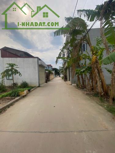 65M TT QUANG MINH TRỤC CHÍNH,VUÔNG ĐẸP,NHỈNH 3 TỶ,CHÍNH CHỦ - 4