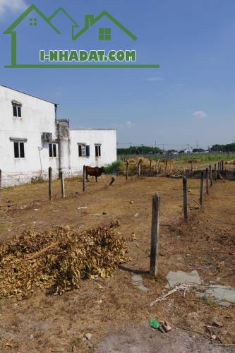 CHÍNH CHỦ BÁN 173M2 ĐẤT MẶT TIỀN SẴN SỔ TẠI HÒA PHÚ-CỦ CHI - 4