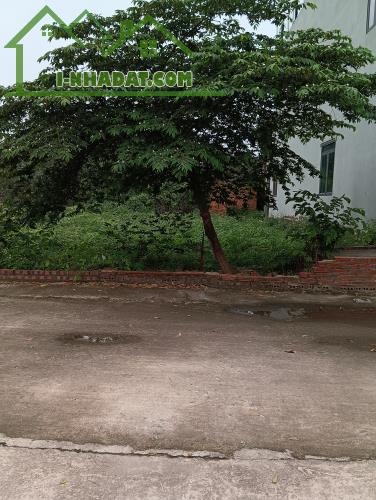 Bán Đất -Xã Hiền Ninh ( Sóc Sơn)- 89 M2 Bìa Làng - 3,1 Tỷ - 1