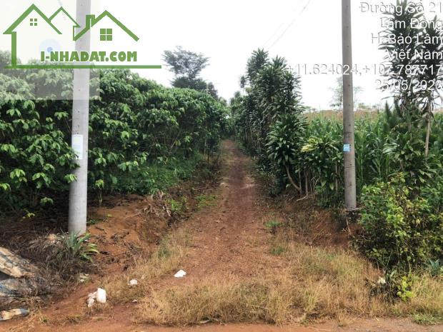 BÁN ĐẤT 2 MẶT TIỀN DT: 286M2, ĐƯỜNG RỘNG 8M, SỔ HỒNG – GIÁ TỐT XÃ LỘC QUẢNG, H.BẢO LÂM,