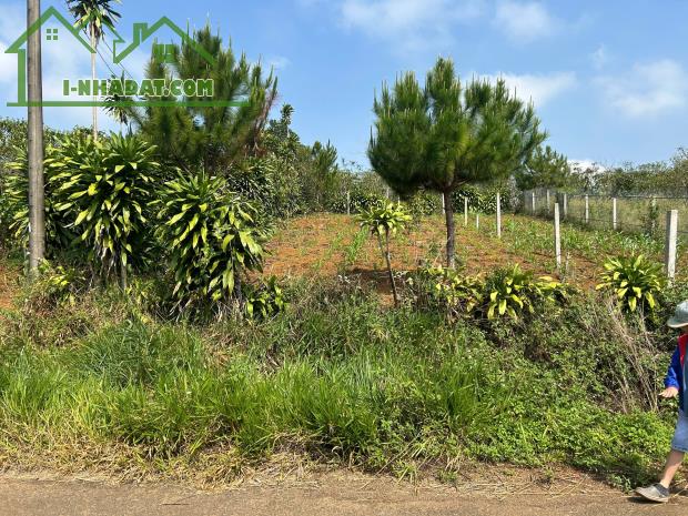 BÁN ĐẤT 2 MẶT TIỀN DT: 286M2, ĐƯỜNG RỘNG 8M, SỔ HỒNG – GIÁ TỐT XÃ LỘC QUẢNG, H.BẢO LÂM, - 1
