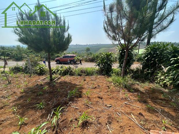 BÁN ĐẤT 2 MẶT TIỀN DT: 286M2, ĐƯỜNG RỘNG 8M, SỔ HỒNG – GIÁ TỐT XÃ LỘC QUẢNG, H.BẢO LÂM, - 2