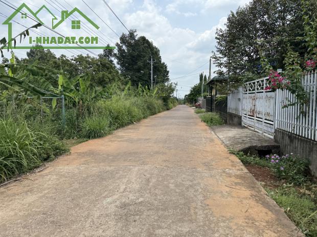 Chỉ Với 500tr Đã Sở Hữu Lô Đất Vườn 1000m2 Gần Ngã Tư Dầu Giây - 3