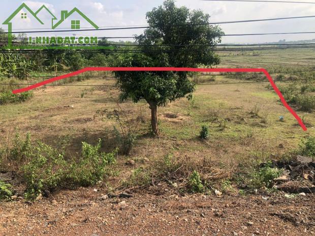 Đất 400 m2 thổ cư, 17m Mặt tiền Tỉnh lộ 1 - Huyện Buôn Đôn - Đăk Lăk, giá chỉ 170 tr/m - 1