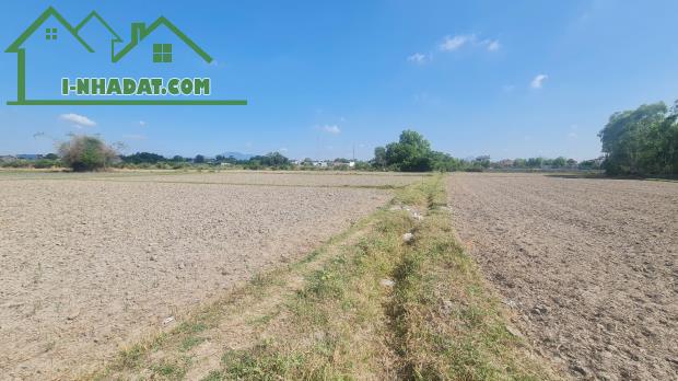 Chỉ 1.05 tỷ 881m2 đất ONT Hẻm Đinh Bộ Lĩnh, Thị xã LaGi giá ngộp sổ riêng - 2