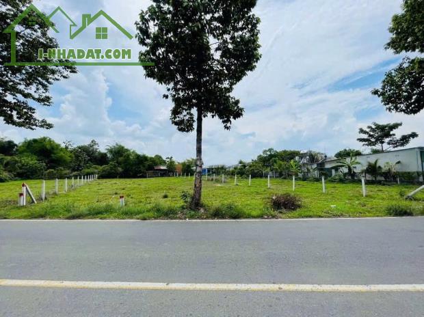HÀNG HIẾM GIÁ TỐT - BÁN NGAY LÔ ĐẤT MT ĐƯỜNG 177M2 PHƯỚC THẠNH, SHR 620TR - 1