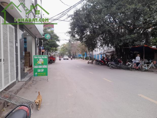 ĐẤT ĐỒNG MAI MẶT ĐƯỜNG ĐỒNG DƯƠNG KINH DOANH - 2