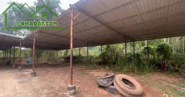 Cho thuê xưởng 3.000m² tại Lai Uyên, Bàu Bàng, Bình Dương – Khu vực gia công đa ngành - 3