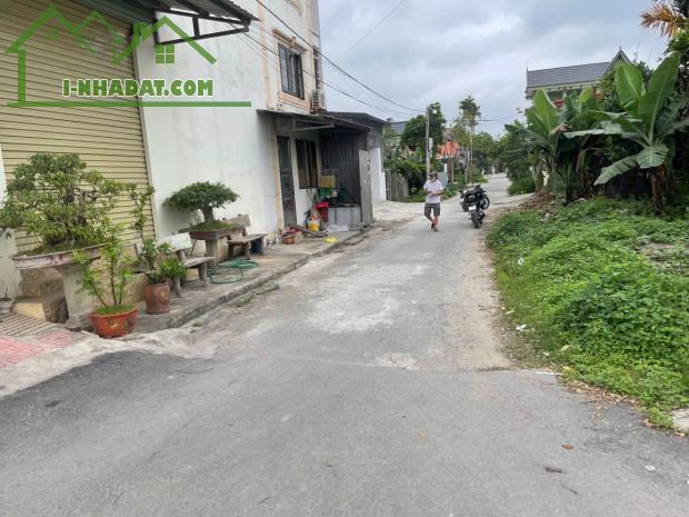 Bán đất Đại Đồng - Kiến Thụy - Hải Phòng - 4