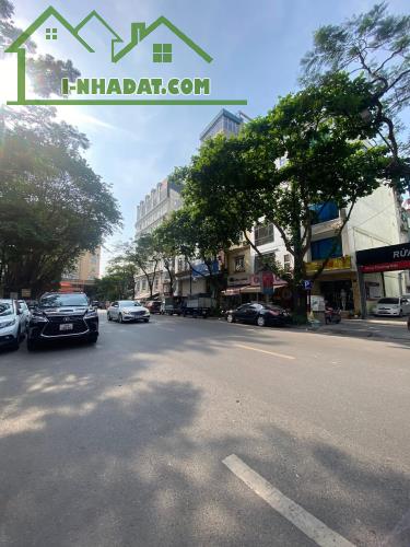 [BÁN ĐẤT CHÂN DÀI-TÌM ĐẠI GIA] MP Lý Thường Kiệt, Hàng Bài 486m2/MT 14m 750 Tỷ - 3