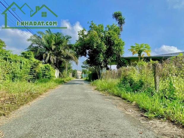 Chủ đất cần ra gấp lô đất full thổ cư thị trấn Củ Chi SHR - 2