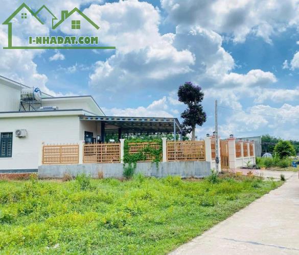 BÁN GẤP 700M2 ĐẤT MẶT TIỀN THỔ CƯ QL14 NGAY CHỢ THỊ XÃ, DÂN ĐÔNG 970TR - 2