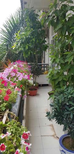 Bán căn hộ 150m2. Chung cư cao cấp Đốc Ngữ, Ba Đình - 3