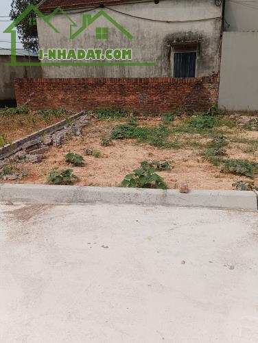 Bán Đất - Xã Tân Minh (Sóc Sơn) - 80m2 Full Thổ Cư -1,65 Tỷ