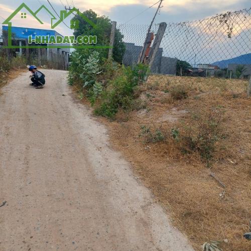 Chính chủ bán gần 1,5 sào( 2 mặt tiền,có 1 sào thổ cư  -  xã Bắc Sơn Thuận Bắc, Ninh Thuận - 3