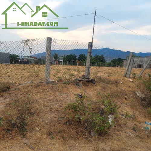 Chính chủ bán gần 1,5 sào( 2 mặt tiền,có 1 sào thổ cư  -  xã Bắc Sơn Thuận Bắc, Ninh Thuận - 5