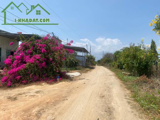 BÁN ĐẤT- DT: 2000M2, MẶT TIỀN NGANG 36,5M, GIÁ TỐT XÃ TÂN LẬP, HÀM THUẬN NAM, BÌNH THUẬN