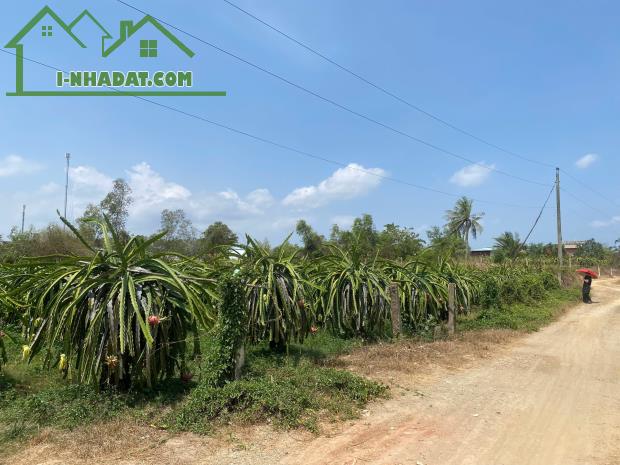 BÁN ĐẤT- DT: 2000M2, MẶT TIỀN NGANG 36,5M, GIÁ TỐT XÃ TÂN LẬP, HÀM THUẬN NAM, BÌNH THUẬN - 4