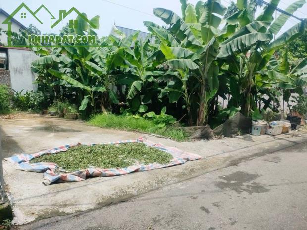 Hót 55m2 giá chỉ hơn 3 tỷ  đất vuông vắn trước nhà ô tô tránh 20 m ra đường 2 ô tô tải trá - 1