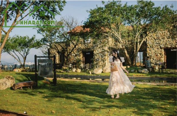 - Nhà 3,5 tầng mặt tiền kinh doanh sát chợ Tân An, Thanh khê, mặt tiền đường 10,5m mặt - 4