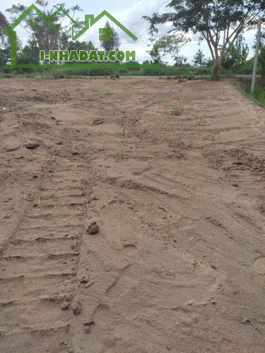 Bán Lô Đất Mặt Tiền Dường Nhựa xã Tân Nghĩa, Huyện Cao Lãnh, Đồng Tháp - 3