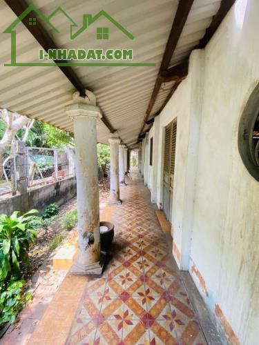 Hóc Môn bán đất full thổ cư diện tích rộng gần đường Nguyễn Ảnh Thủ phù hợp làm nhà vườn - 3