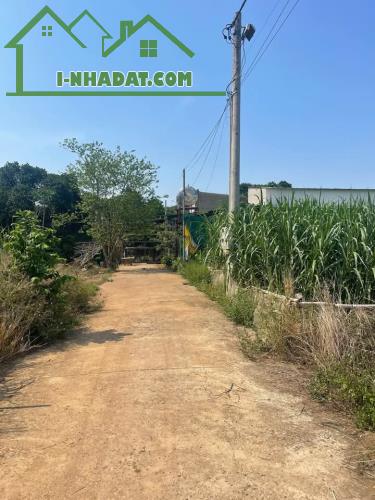 🔥 Siêu Rẻ! Lô Đất 105m² Tây Hòa – Trảng Bom, Sổ Đỏ Chính Chủ, Giá Chỉ 800 Triệu! 🏡