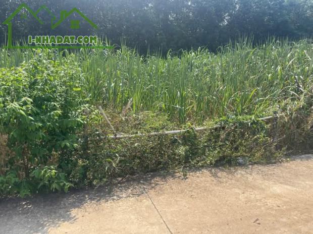 🔥 Siêu Rẻ! Lô Đất 105m² Tây Hòa – Trảng Bom, Sổ Đỏ Chính Chủ, Giá Chỉ 800 Triệu! 🏡 - 1