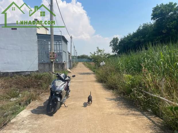 🔥 Siêu Rẻ! Lô Đất 105m² Tây Hòa – Trảng Bom, Sổ Đỏ Chính Chủ, Giá Chỉ 800 Triệu! 🏡 - 2