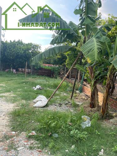 Bán Đất Định Hòa, Tp Thủ Dầu Một, Bình Dương. Dt: 5.5x17 có 60m thổ cư - 3