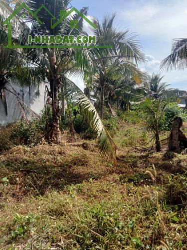 🏡 CẦN BÁN LÔ ĐẤT BIỆT THỰ 420m² TẠI XÃ TAM AN – LONG ĐẤT – BÀ RỊA VŨNG TÀU GIÁ CHỈ 1.65