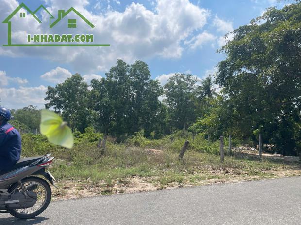 Bán đất ngộp mặt tiền Nguyễn Bỉnh Khiêm - TX LaGi sổ riêng thổ cư 100m2 - 1