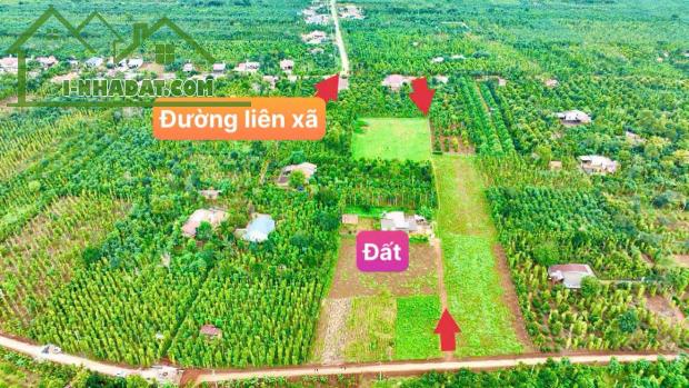 Ea BHốk- Cư Kuin- Đắk Lắk dt 11*50m sẵn 100m2 thổ cư đường ô tô tới đất tiện ích đầy đủ