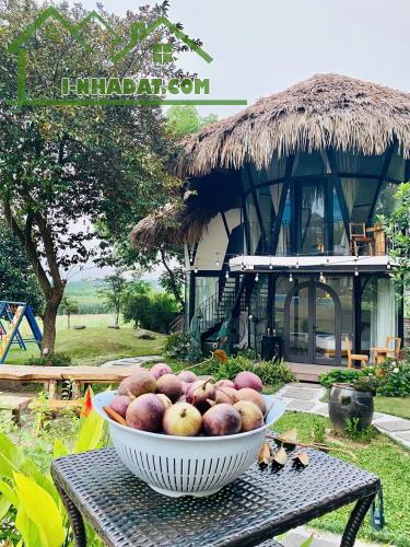 Bán Villa 2200M_400M đất ở_thiết kế hiện đại vận hành tốt doanh thu 1,5 tỷ/năm_Vân Hoà Ba