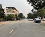 Cần bán gấp lô đất nằm 136m2 tại khu đấu giá 31ha, TT Trâu Quỳ, lô giáp góc cực đẹp