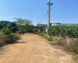 🔥 Siêu Rẻ! Lô Đất 105m² Tây Hòa – Trảng Bom, Sổ Đỏ Chính Chủ, Giá Chỉ 800 Triệu! 🏡