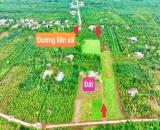 Ea BHốk- Cư Kuin- Đắk Lắk dt 11*50m sẵn 100m2 thổ cư đường ô tô tới đất tiện ích đầy đủ
