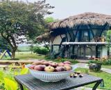 Bán Villa 2200M_400M đất ở_thiết kế hiện đại vận hành tốt doanh thu 1,5 tỷ/năm_Vân Hoà Ba