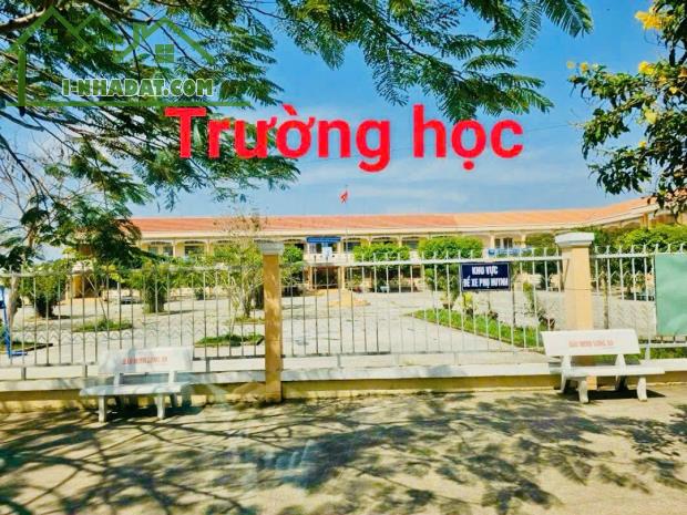 Đất thổ cư chính chủ 5x24m – giá mềm cho người thật việc thật - 2