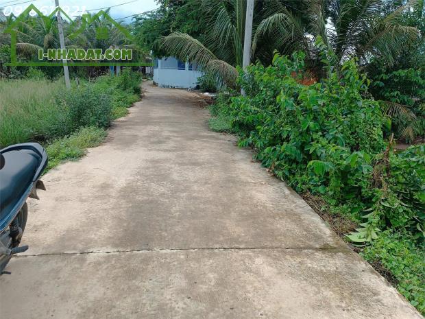 Đất thổ cư chính chủ 5x24m – giá mềm cho người thật việc thật - 1