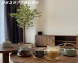 CHÍNH CHỦ CHO THUÊ CHUNG CƯ  TẠI T&T DC COMPLEX 120 ĐINH CÔNG. HOÀNG MAI. HÀ NỘI