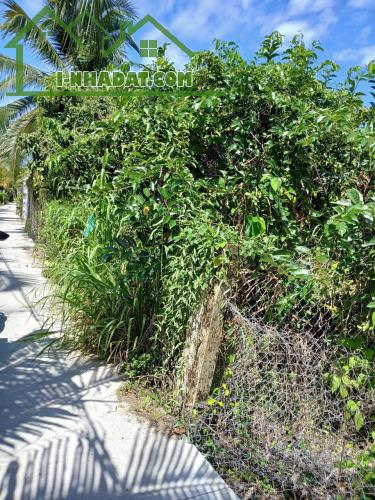 Đất thổ cư Tân Mỹ Chánh giá công nhân, Tp Mỹ Tho Tiền Giang - 1