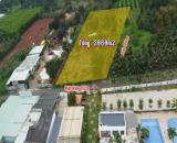 Suối Nghệ Châu Đức: Bán đất 3060m² có thổ cư, gần KCN, giá đầu tư hấp dẫn