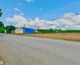 NỢ TIỀN BÁN 1.280M2 ĐẤT GẦN NHÀ MÁY, XÍ NGHIỆP ĐANG HĐ XÂY TRỌ CHO THUÊ LIỀN. GIÁ 180TR