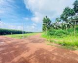 CẦN TIỀN BÁN GẤP 1012M2 ĐẤT, A/C THIỆN CHÍ THÌ ĐI XEM TRÁNH LÀM MẤT THỜI GIAN. GIÁ 170TR