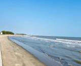 Bán Nhà View Biển Tuyệt Đẹp – Ngay Bờ Kè Phước Hải – Giá Chỉ 1 Tỷ 2!