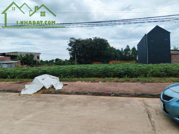 Bán 2 ô Đất liền kề Cổng Chào Thanh Đình 600m2( full TC), MT 24m, 9.5tr/m2 - 1