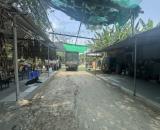 Bán Đất đẹp full thổ Huỳnh Tấn Phát, P.Phú Thuận, Quận 7 - 1072m2 Sổ Hồng, Sồ vuông, sinh
